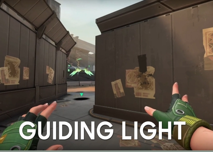 Tổng quan và cách chơi Skye Valorant (Ảnh 3)