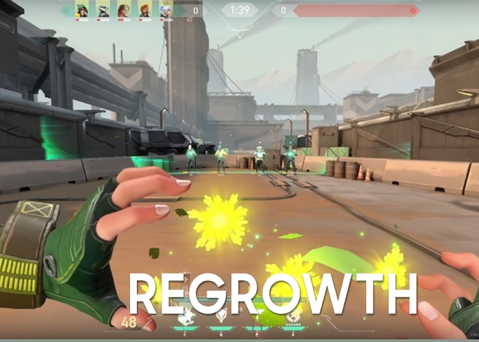 Tổng quan và cách chơi Skye Valorant (Ảnh 4)