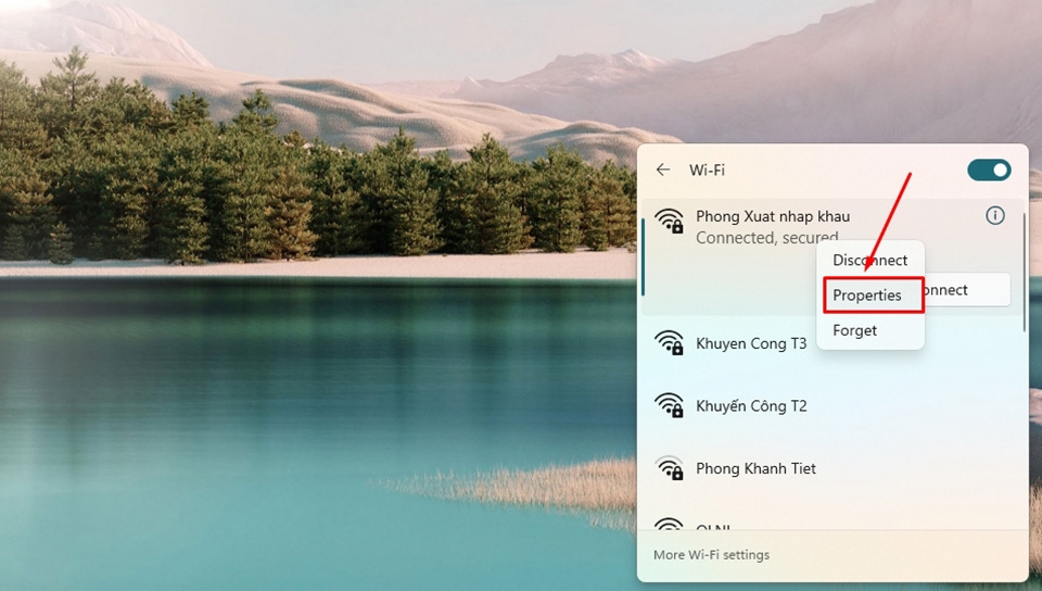 Lỗi tự ngắt kết nối Wi-Fi trên laptop Windows 11 - Ảnh 07