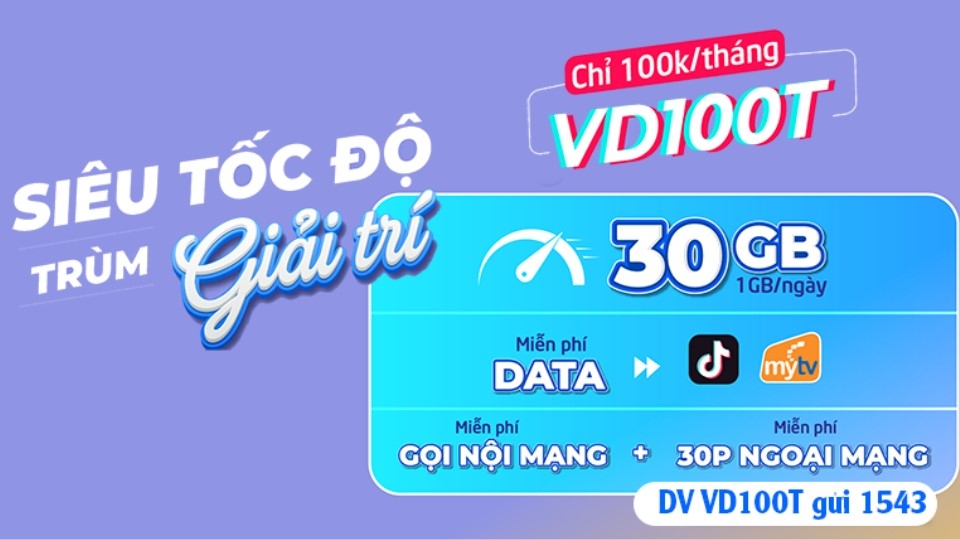 Vina VD100T