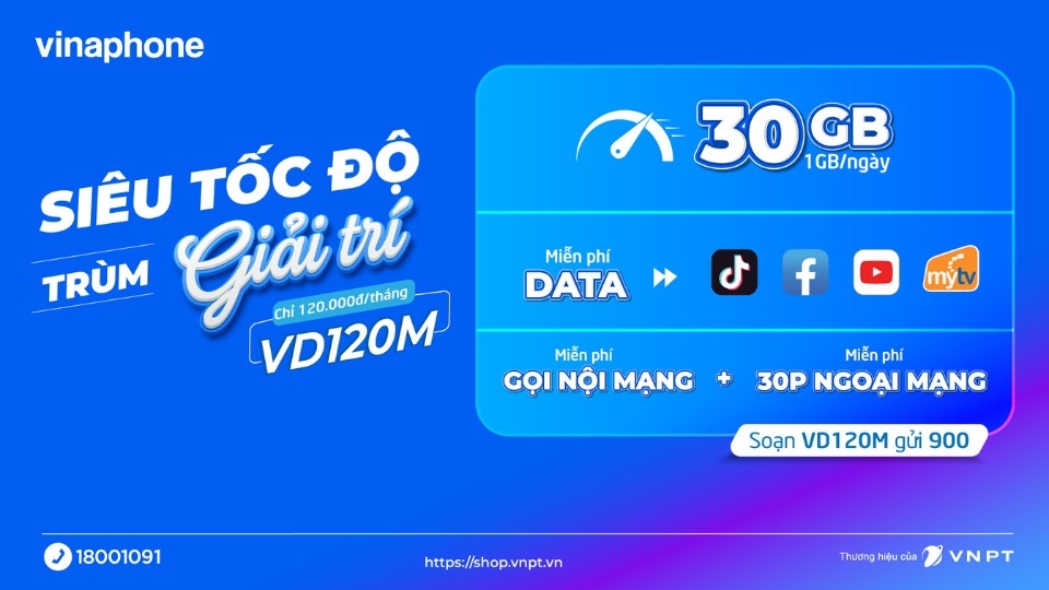Vina VD120M