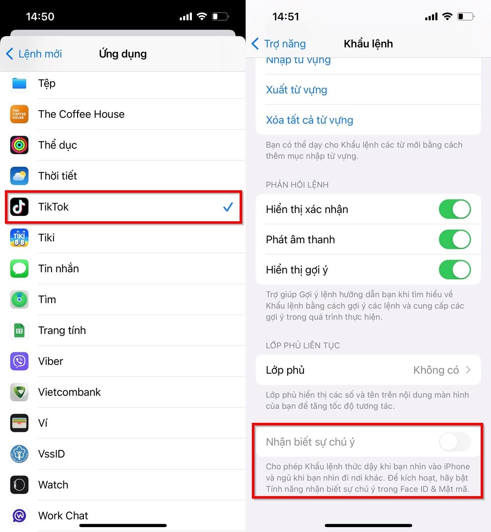 Cách lướt TikTok bằng khẩu lệnh trên iPhone 5