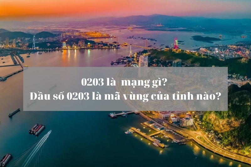 Đầu số 0203 là mạng gì (Ảnh 1)