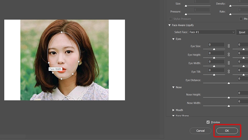 Cách làm thon gọn khuôn mặt trong Photoshop
