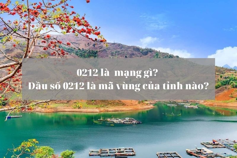 Đầu số 0212 là mạng gì (Ảnh 1)