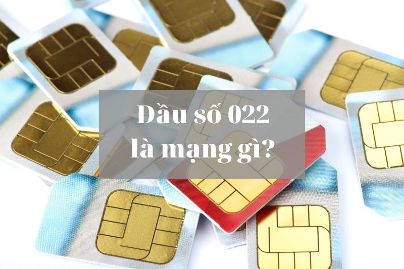 022 là tỉnh nào? Tìm hiểu về đầu số 022 của tỉnh Sơn La và những điều thú vị