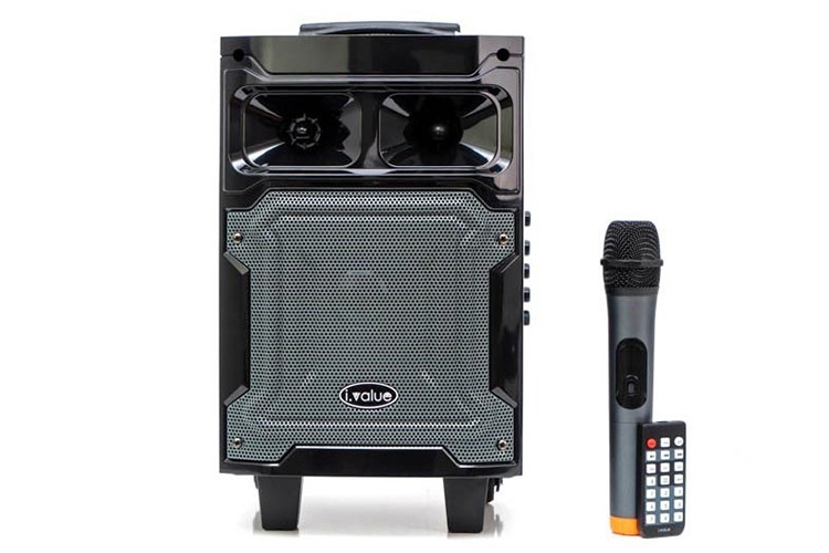 List loa hát Karaoke nên mua để tiệc tùng cùng gia đình, bạn bè Tết 2023 2