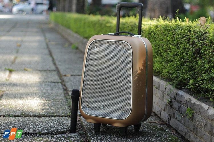 List loa hát Karaoke nên mua để tiệc tùng cùng gia đình, bạn bè Tết 2023 3