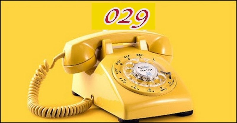 Đầu số 029 là mạng gì?