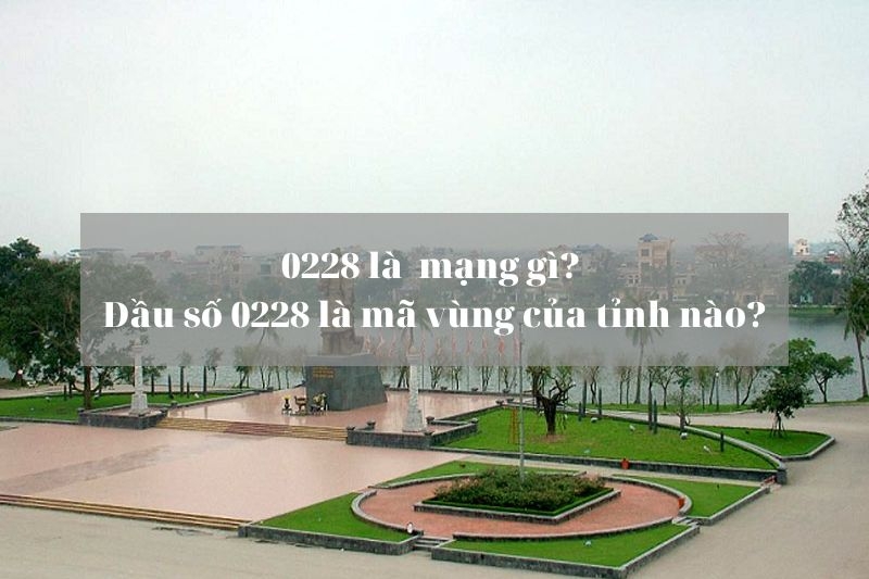 Đầu số 0228 là mạng gì (Ảnh 1)