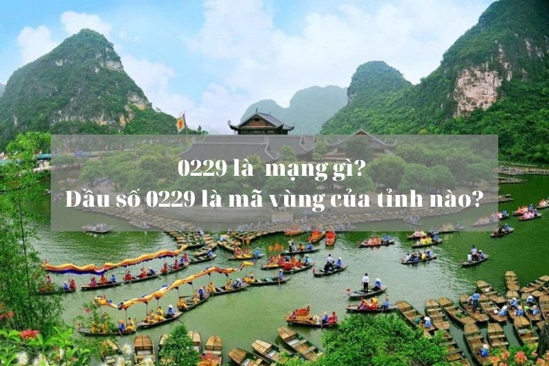 Đầu số 0229 là mạng gì (Ảnh 1)
