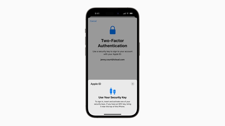 Apple Security Key