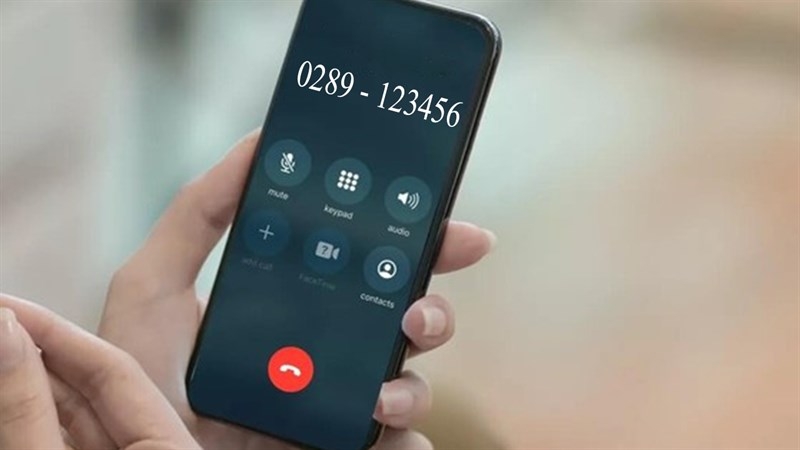 0289 là mạng gì