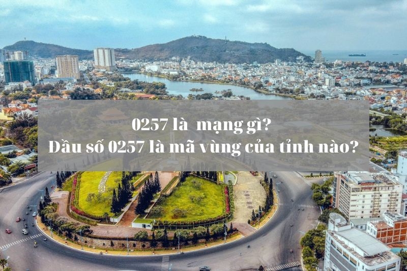 Đầu số 0257 là mạng gì (Ảnh 1)