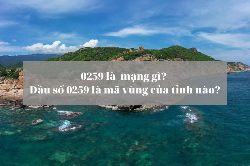 0259 là mạng gì (Ảnh 1)