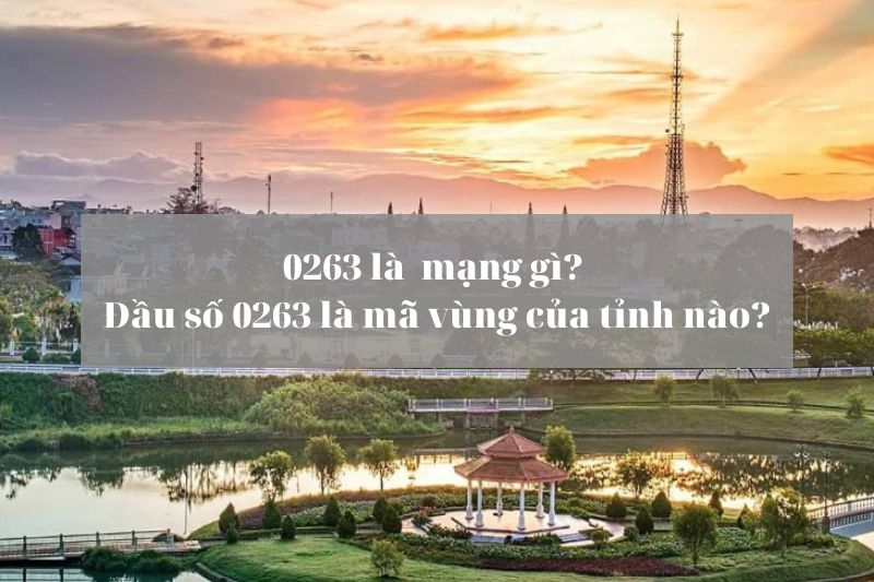 Đầu số 0263 là mạng gì (Ảnh 1)