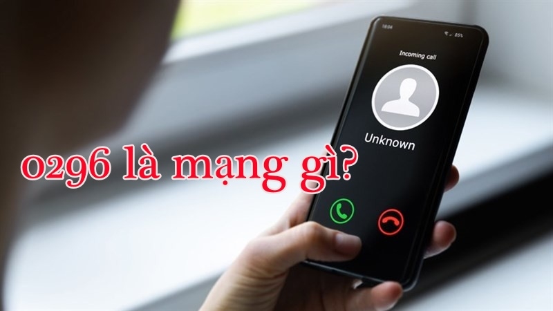 Đầu số 0296 là mạng gì? Mã vùng của tỉnh nào?