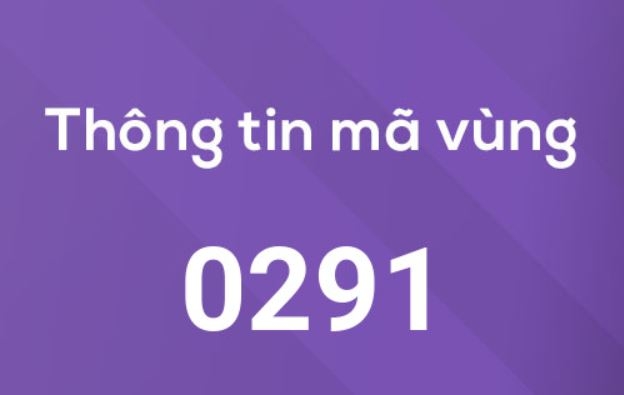 0291 là mạng gì