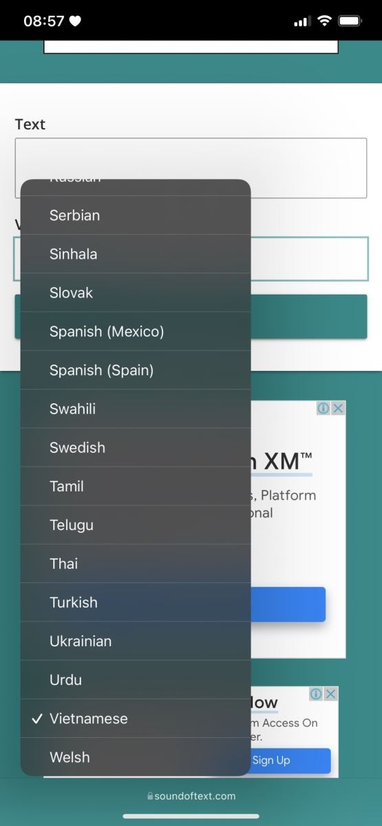 cách nói chuyện với chị Google trên iPhone
