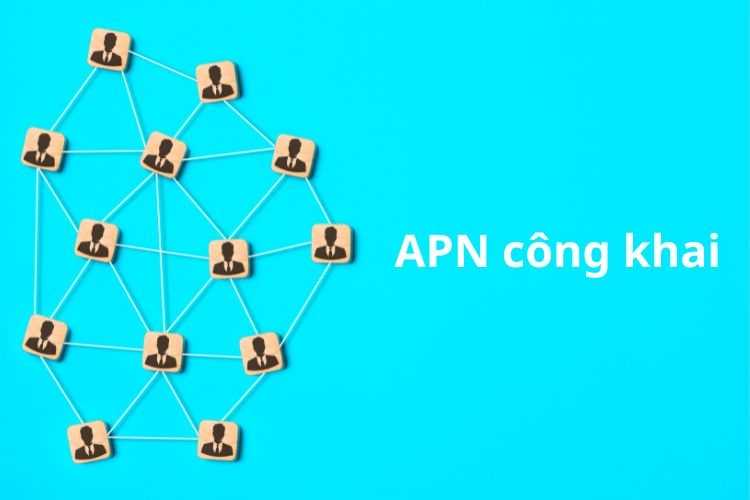 APN công khai