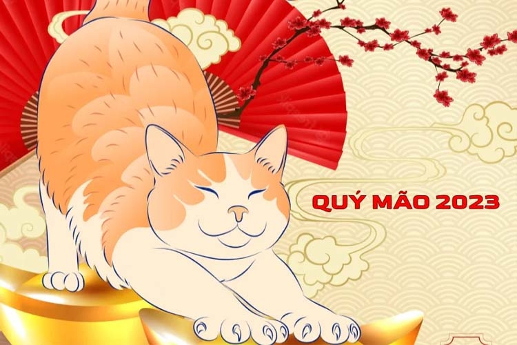 Tết nên tặng quà gì cho người tuổi Mão? Gợi ý 5 món quà tặng dành cho người tuổi con mèo nhân dịp Tết Quý Mão 2023