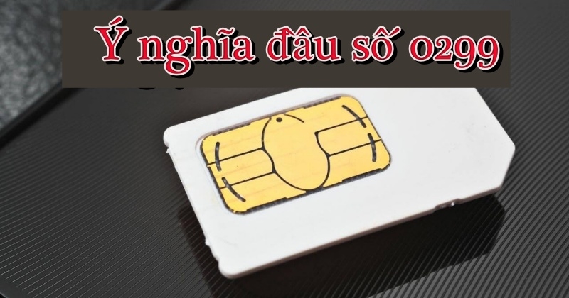 Ý nghĩa đầu số 0299