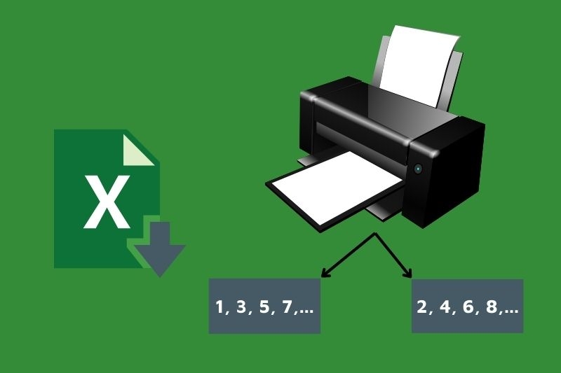 Cách in trang chẵn lẻ trong excel (Ảnh 1)