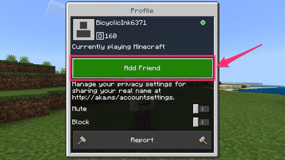 Cách kết bạn trong Minecraft