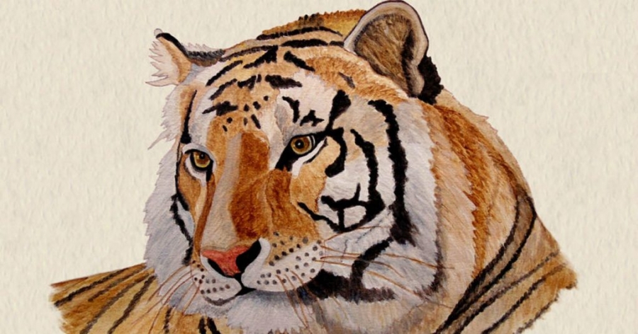 12 con giáp nên mặc đồ Tết 2023 màu gì cho đẹp và hợp phong thủy?