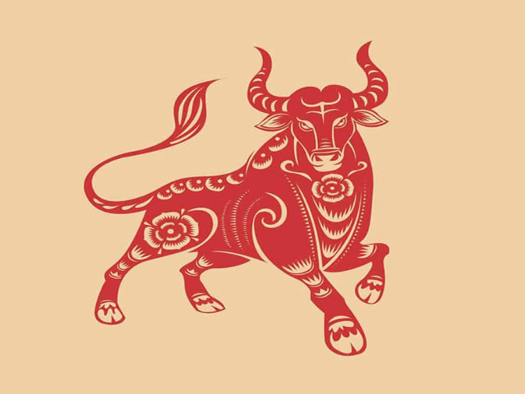 12 con giáp nên mặc đồ Tết 2023 màu gì cho đẹp và hợp phong thủy?