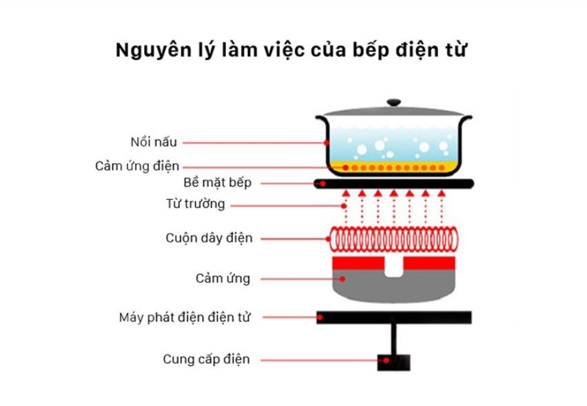 cấu tạo bếp từ - hình 5