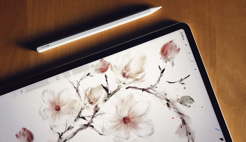 6 lý do ứng dụng Freeform của Apple không dành cho tất cả mọi người (ảnh 5)