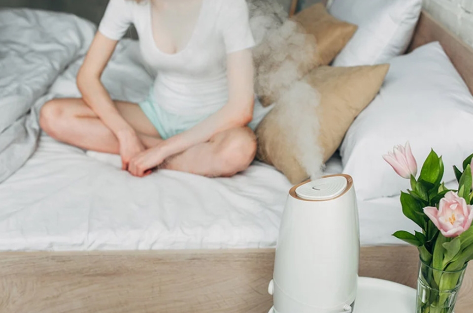 Mua máy lọc không khí hay máy tạo ẩm - Ảnh 05