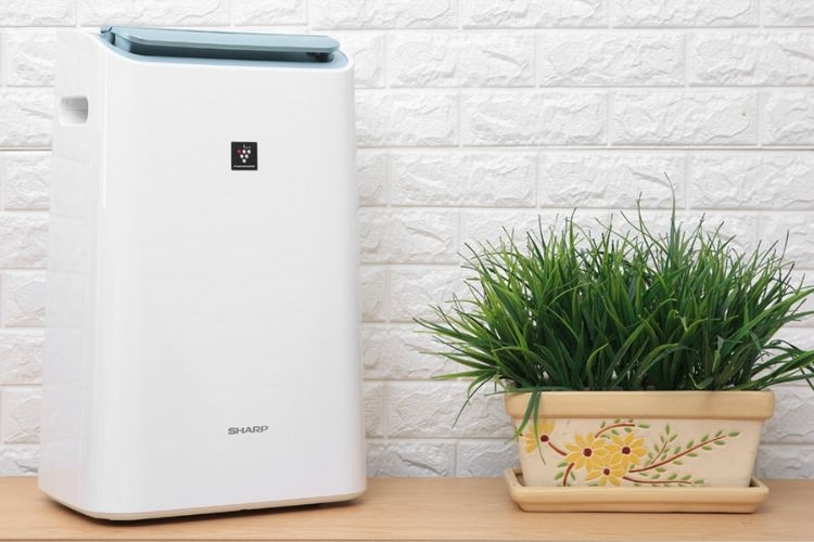 Máy lọc không khí hút ẩm Sharp DW-E16FA-W