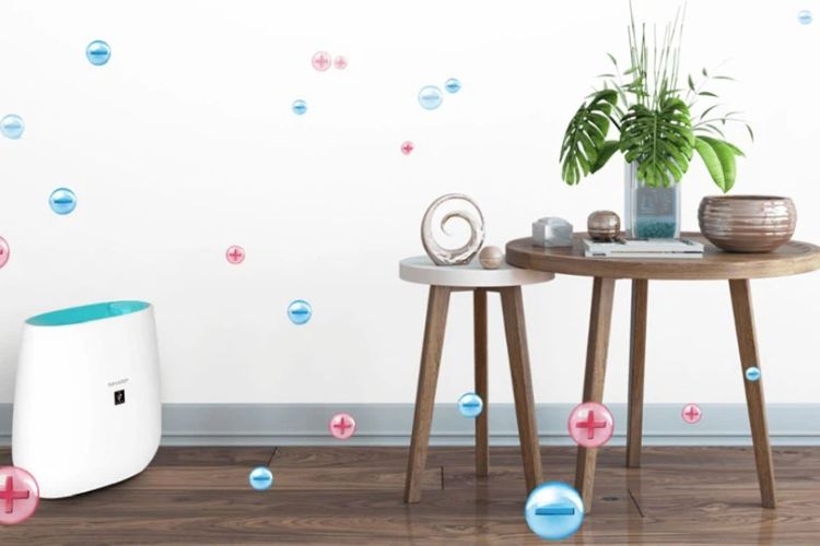 Máy lọc không khí Sharp