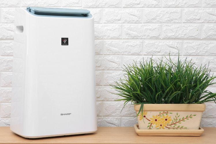 Máy lọc không khí hút ẩm Sharp DW-E16FA-W