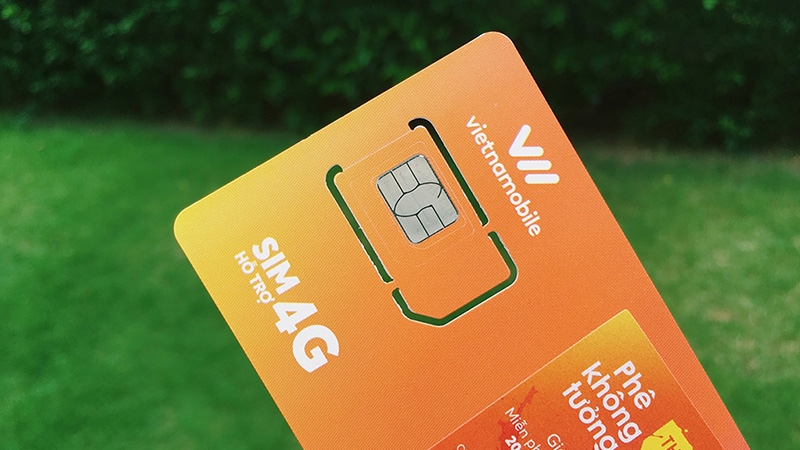 Tại sao SIM Vietnamobile không vào mạng được (Ảnh 3)