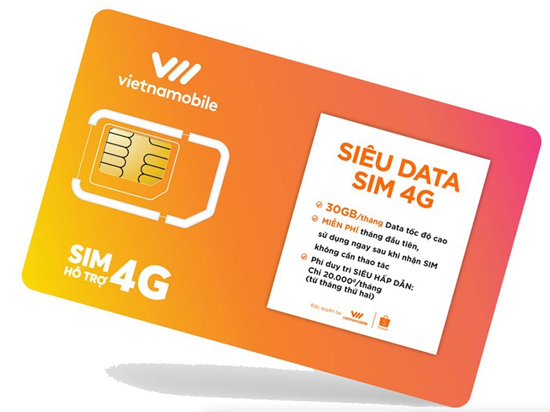 Tại sao SIM Vietnamobile không vào mạng được (Ảnh 5)