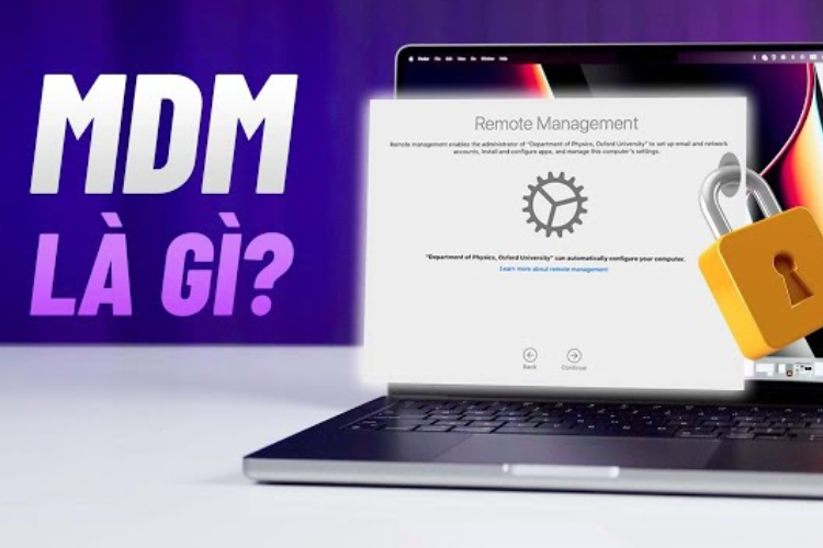 Khái niệm thuật ngữ MDM