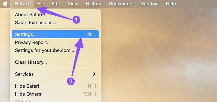 Làm gì khi Safari không phát video trên máy Mac (9)
