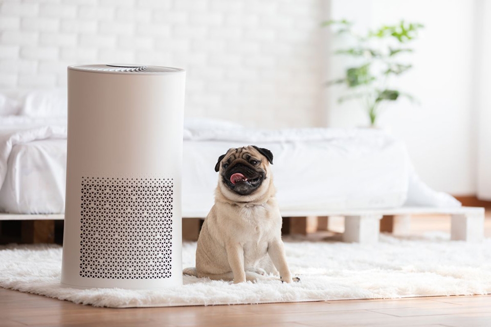 Chọn vị trí đặt máy lọc không khí - Ảnh 06
