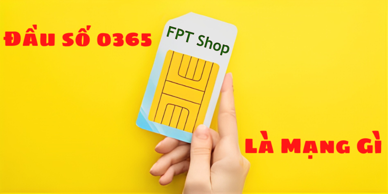 0365 là mạng gì?