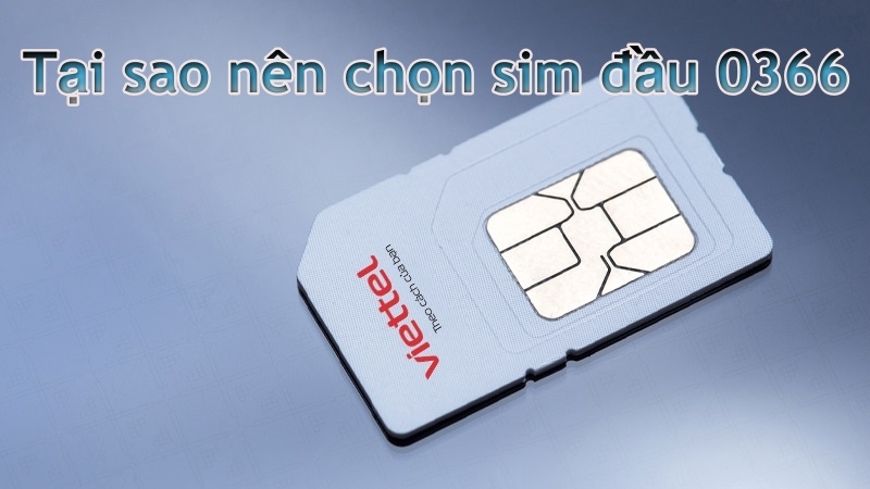 Tại sao nên chọn mua sim đầu số 0366