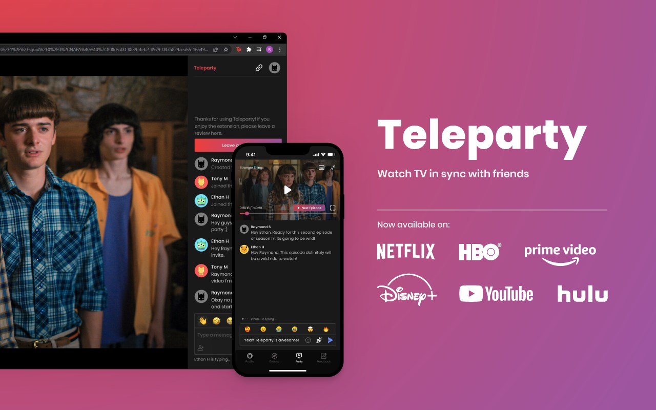 Netflix Teleparty