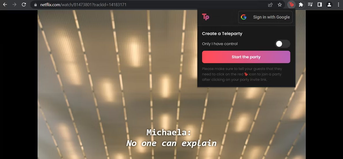 Netflix Teleparty