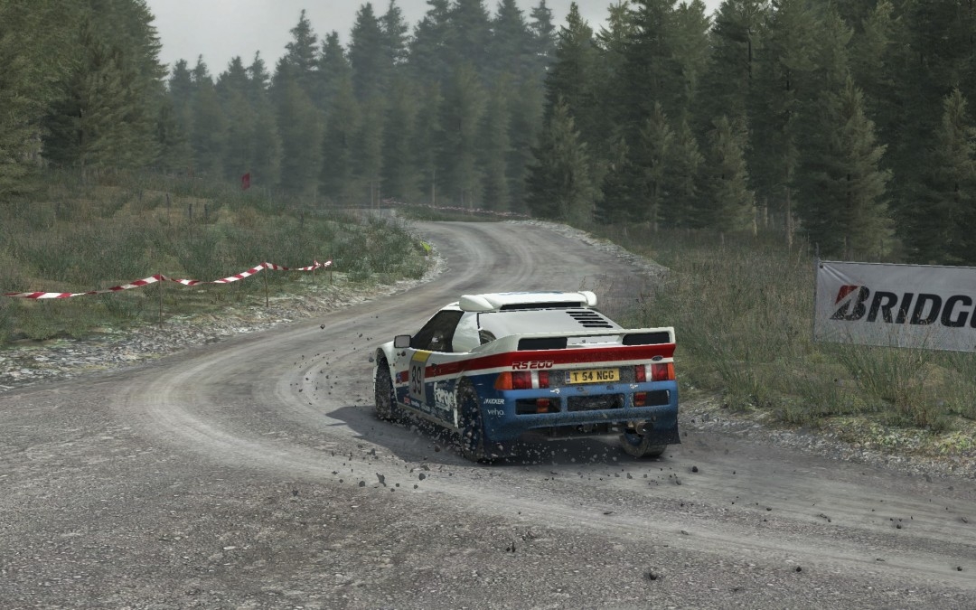 Dirt Rally