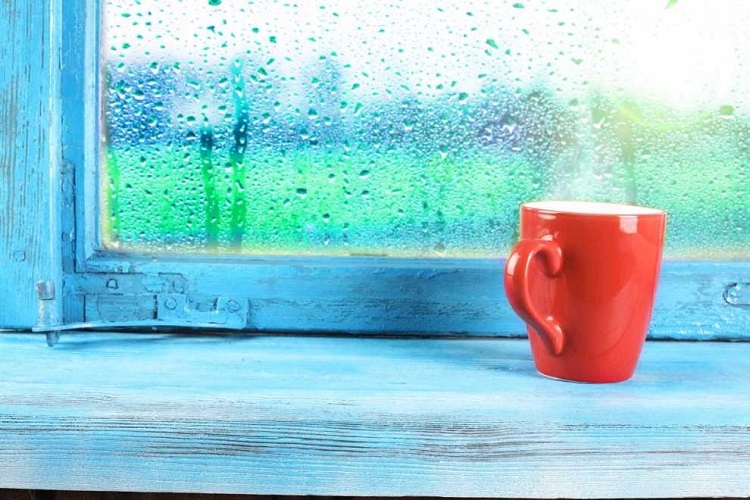 Có nên sử dụng máy hút ẩm khi trời nồm? Một số lưu ý quan trọng