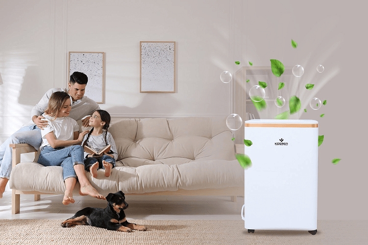 Có nên sử dụng máy hút ẩm khi trời nồm? Một số lưu ý quan trọng