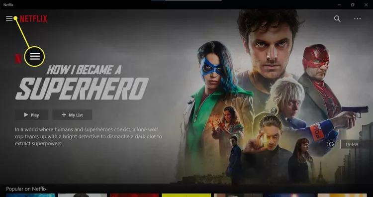 Cách tải phim trên Netflix về máy tính