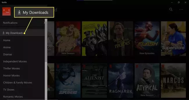 Cách tải phim trên Netflix về máy tính